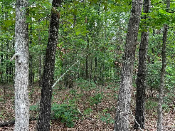 0 Cut Thru Rd, Grayson, LA 71435