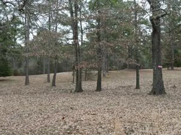 18 Eagle Cove Rd, Lamar, AR 72846