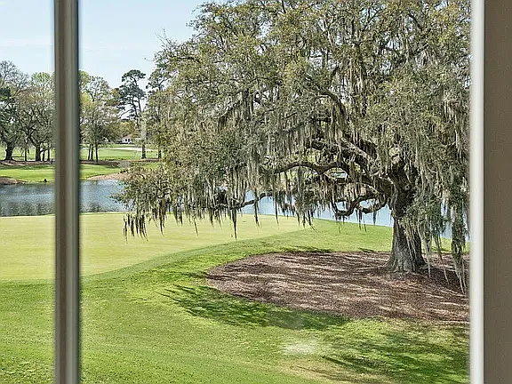 4517 Hope Plantation Dr — Photo 79