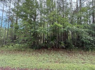 242 Lakeway Dr LOT 22, Georgetown, FL 32139