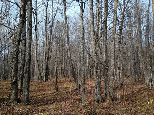 Right Of Way Rd, Glidden, WI 54527