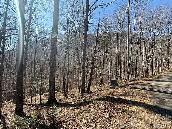 3rd image of LOT 229 Swallow Ln