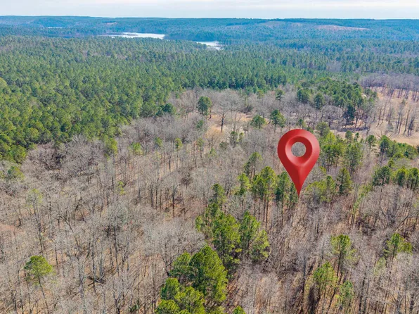 0 Brushy Cemetery Rd, Amity, AR 71921