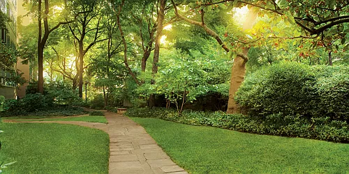 Rented by Bold New York