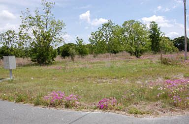 1st image of Lot 2 SW County Road 344