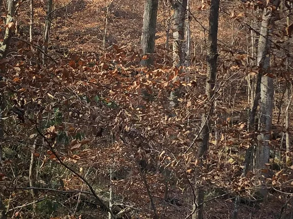 6 Country Woods Rd #6, Hayden, AL 35079