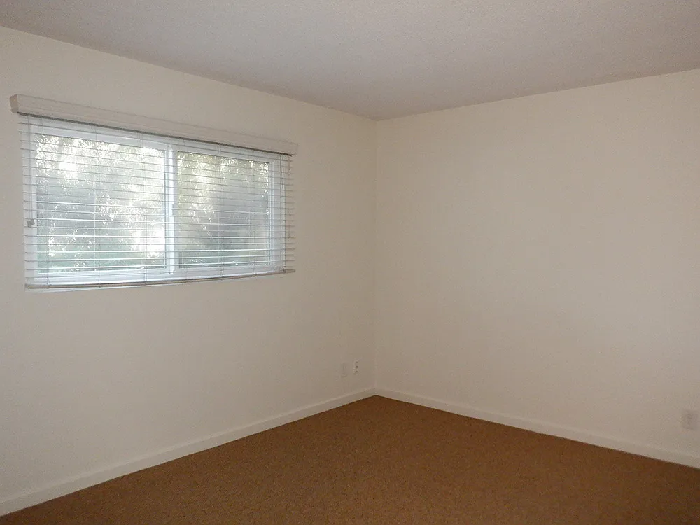 1 bed, $2,550 — Photo 4