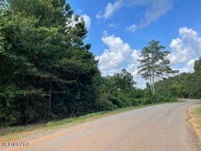 0 Road 270, Union, MS, 39365