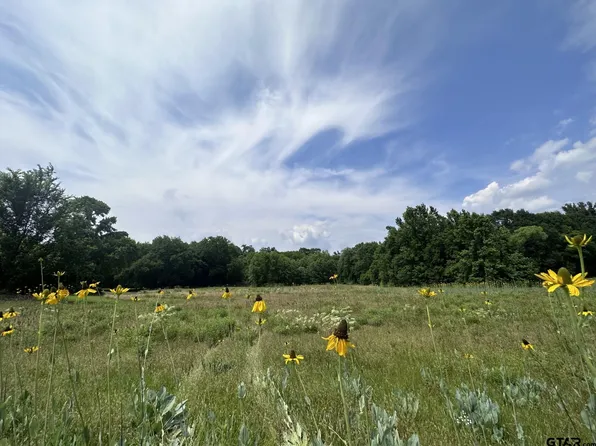 6326 W Highway 67, Omaha, TX 75571