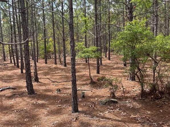 Bdf 8 Beaverdam Rd #Bdf-8, Cassatt, SC 29032