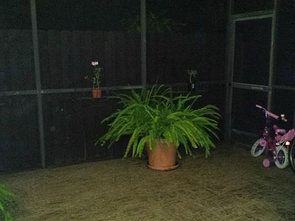 5th image of 304 Bough Ave