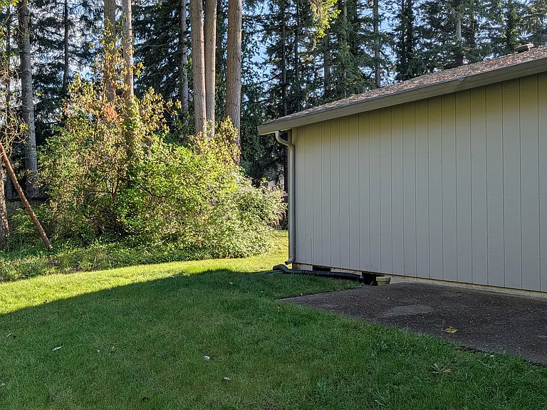 Backyard. Not fully fenced