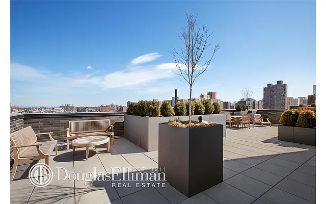 Rented by Douglas Elliman | media 21