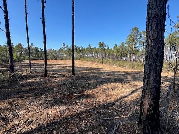 2nd image of 0 Smyrna Rd