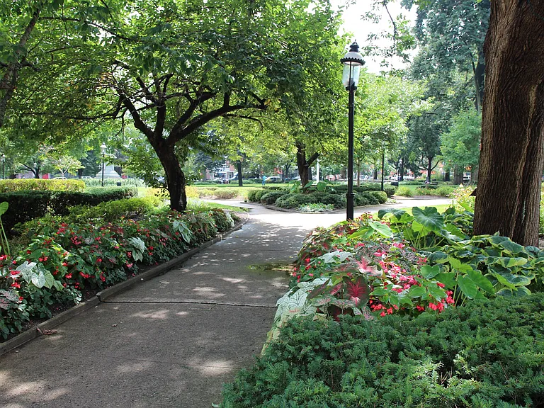 Tree lined recreational trails and gorgeous gardening at Speedwell Lake Park