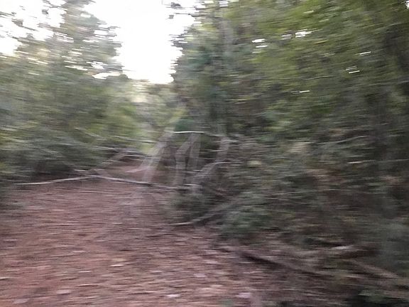 2nd image of 41 Acres Hwy. 84