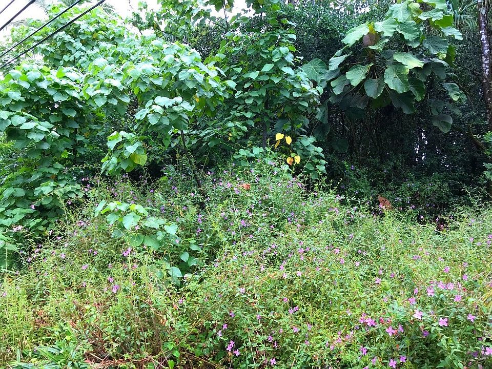 1st image of Kahakai Blvd Lot 1102