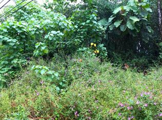 Kahakai Blvd LOT 1102, Pahoa, HI 96778