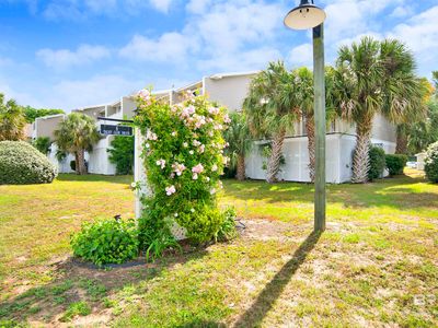 6 Yacht Club Dr APT 109, Daphne, AL, 36526