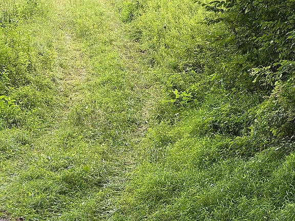 3rd image of Tbd Fox Creek Rd
