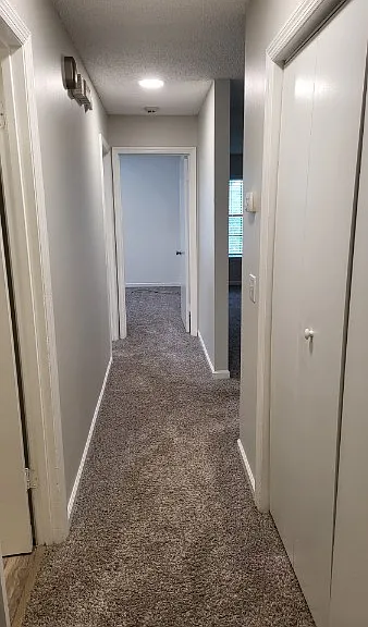 530 Phipps Dr — Photo 11