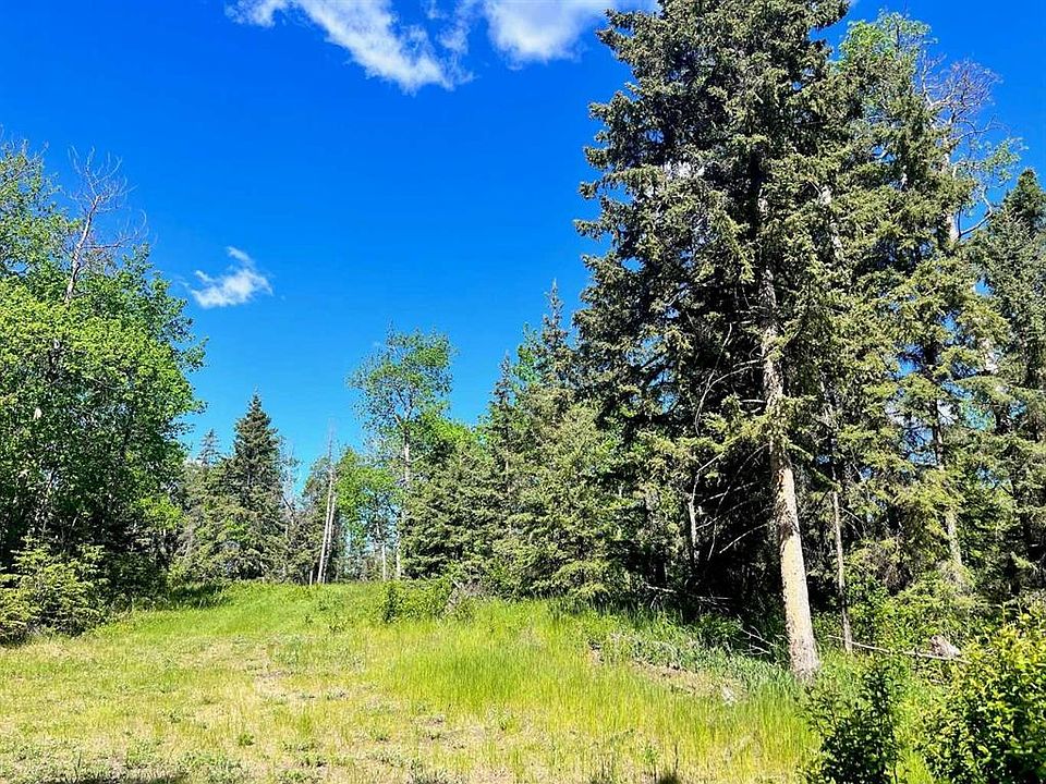 2nd image of 421022 Range Road 260 #13