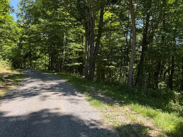9 Lower Cherry Grove Rd, Slatyfork, WV 26291