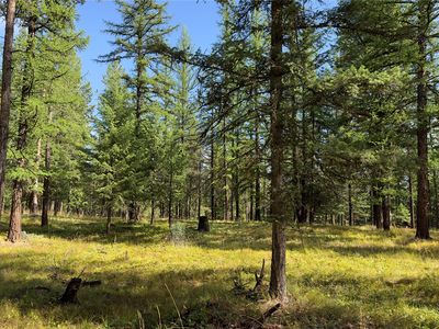 Nhn Forest Loop, Eureka, MT, 59917