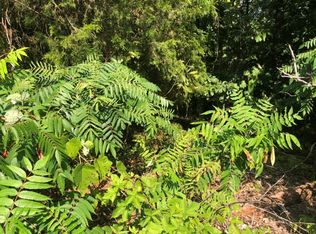 14 Melanie Dr, Bella Vista, AR 72714