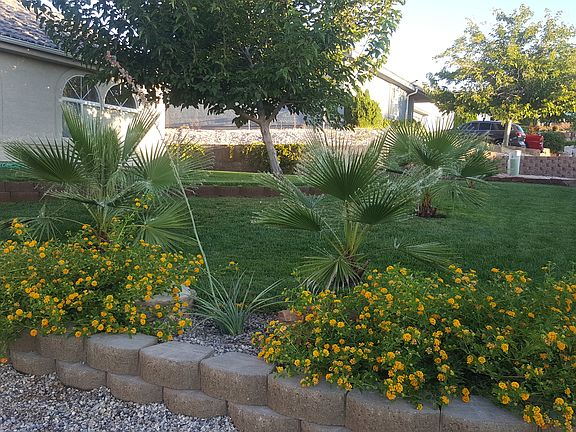 Front Yard