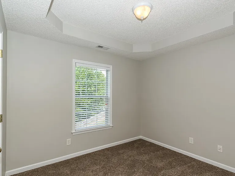 3 Brightling Ln — Photo 10