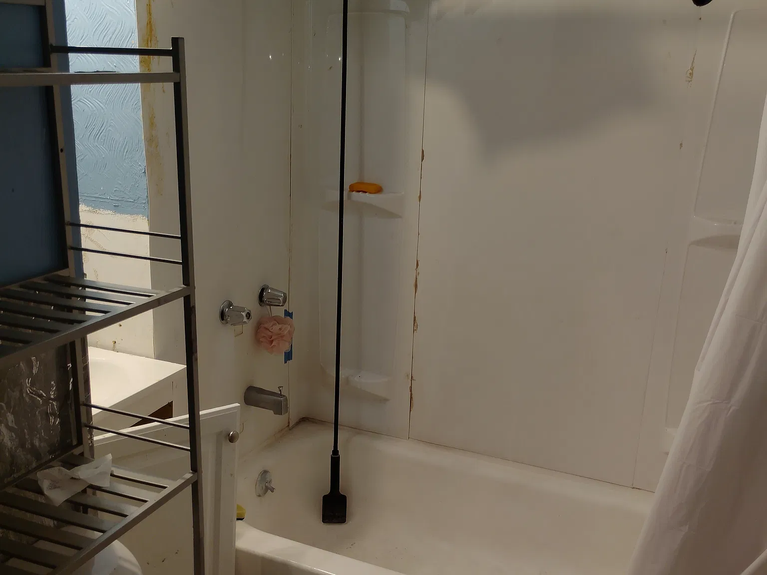 2 bed, 745 sqft, $875 — Photo 3