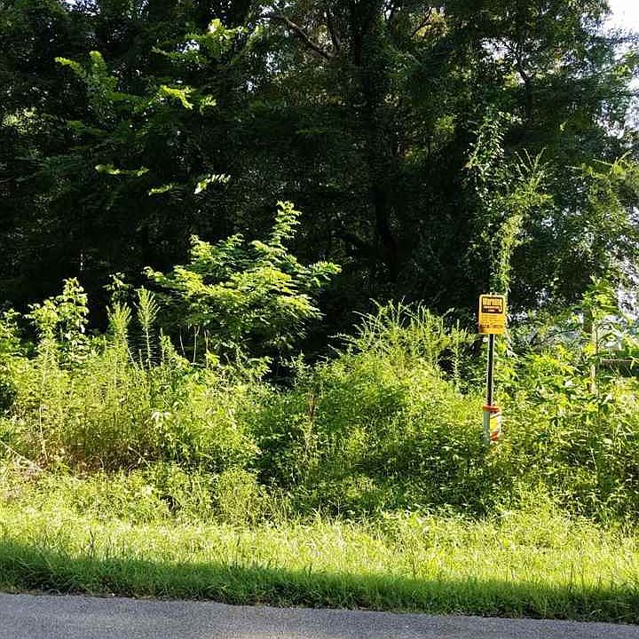 1st image of 817 Hill Ave