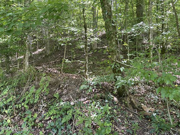 3rd image of 6030 Cherokee Indian Cir Lot 303