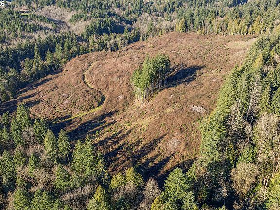 5th image of 16424 NW Rock Creek Rd