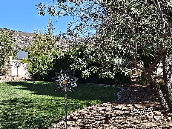 Front yard