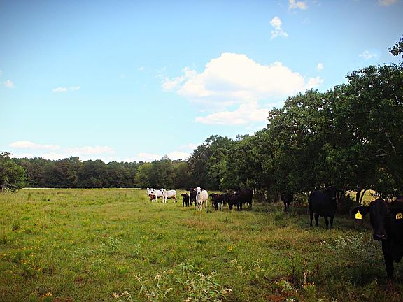 2nd image of 1723 County Road 4680