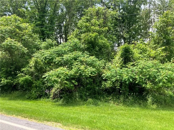 0 Turner Rd #29, Palmyra, NY 14522