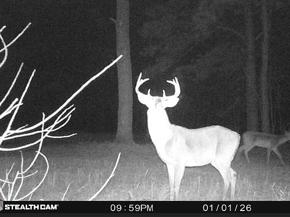 5th image of 7901 Ashleigh Rd