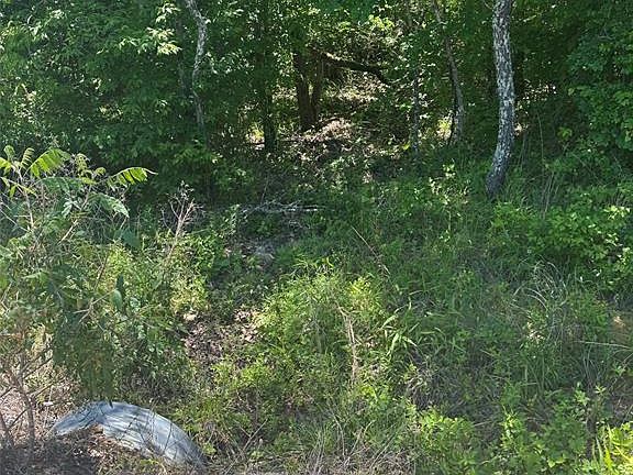 4th image of 54 Vista Ridge Trail