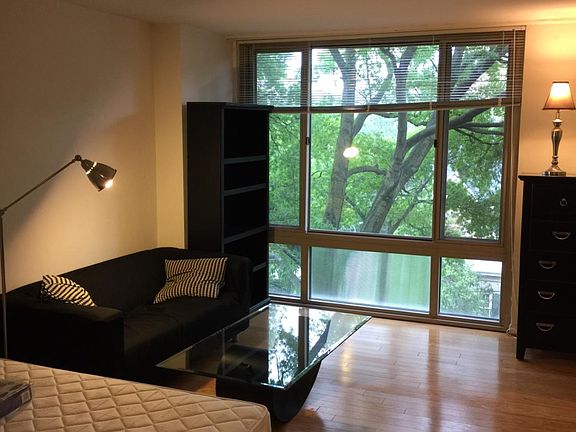 Main room - lots of window light, hardwood floors
