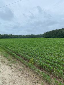 1 & 2 Stoney Creek Rd, New Church, VA, 23415