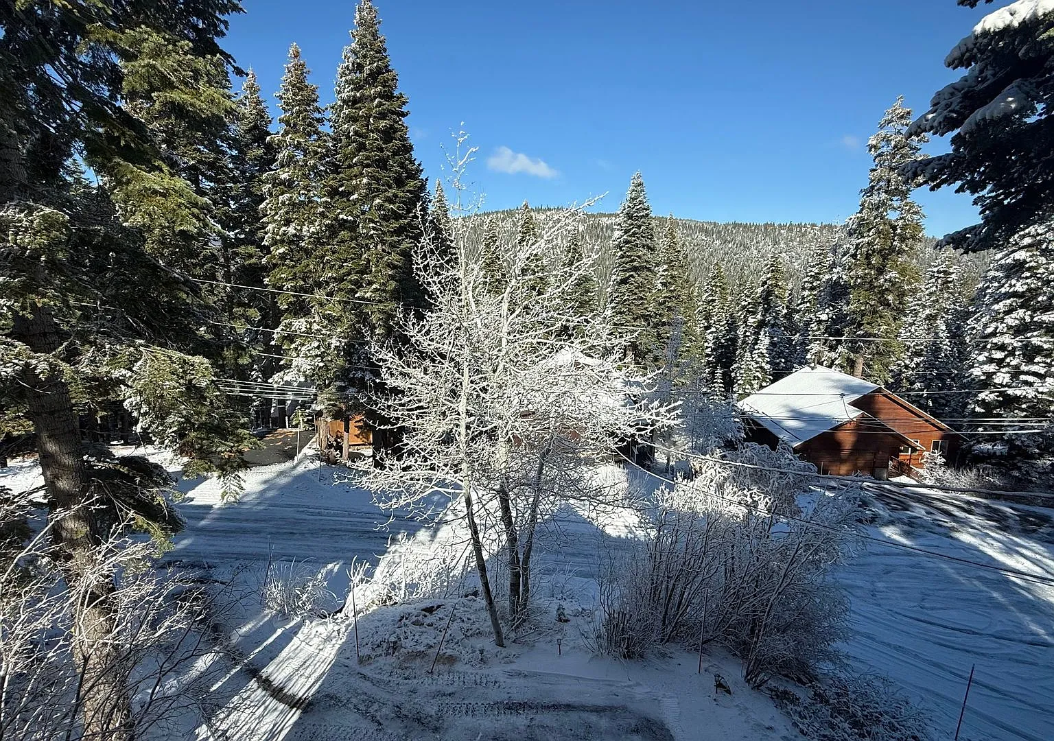 Charming Tahoe Donner Log Cabin with Hot Tub — Photo 3