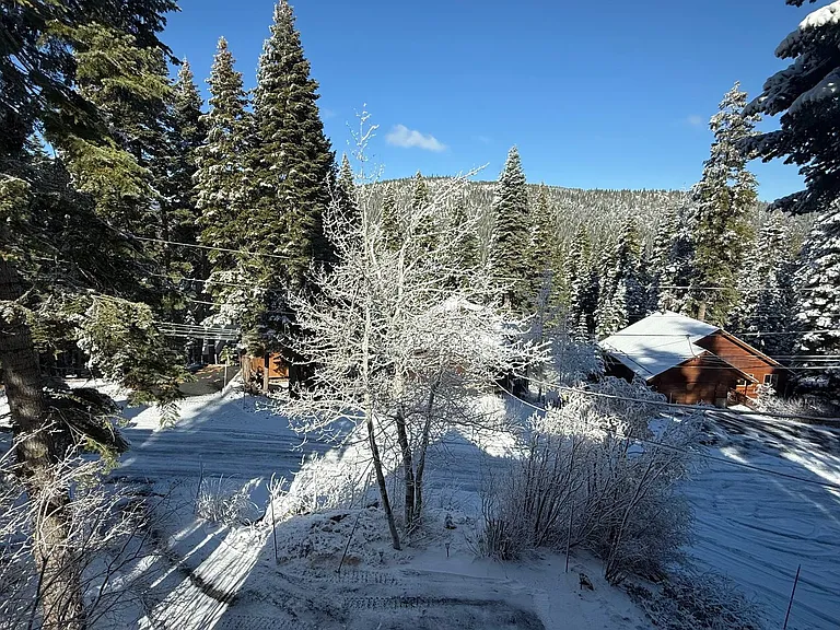 12277 Brookstone Dr — Photo 2