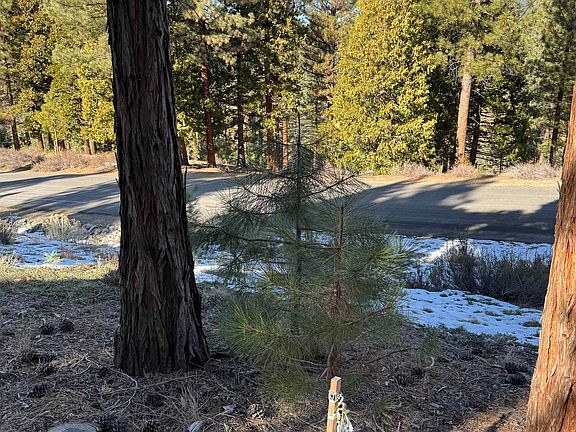 4th image of 78 S Ridge Rd