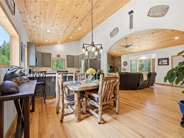 705 Gold Flake Terrace, Bailey, CO 80421