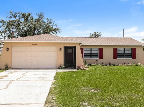 13238 Drysdale St, Spring Hill, FL 34609