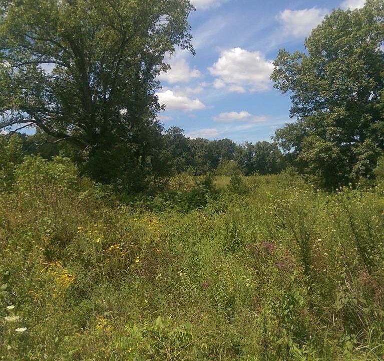1st image of 2027 Cedar Creek Dr