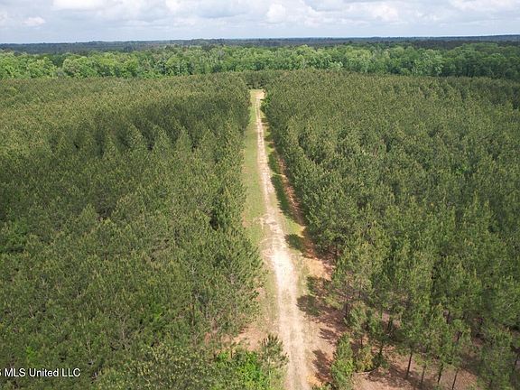 4th image of 2355 Willie Redden Rd