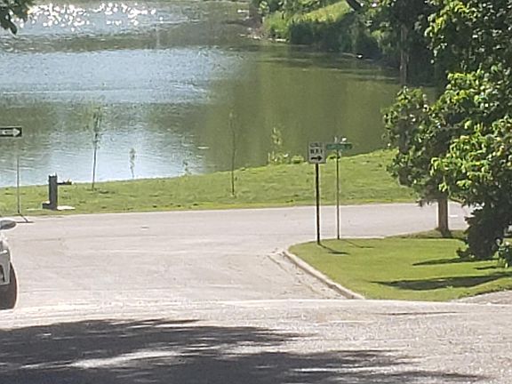 Lake Alice Great walks 1/2 block away
